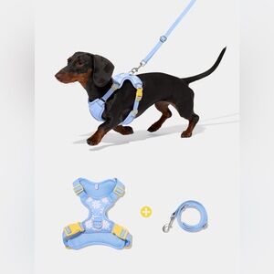 Vetreska Baby Blue White Daisy Pet Harness & Leash Set XS/XXS